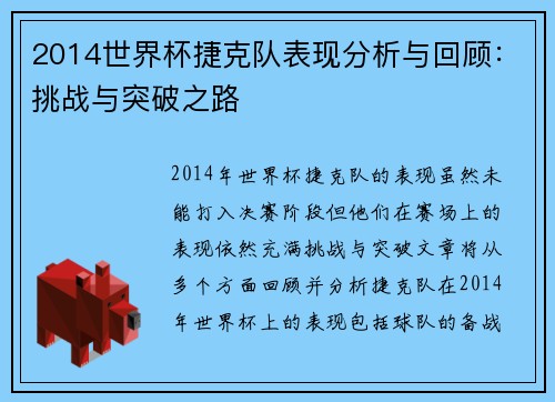 2014世界杯捷克队表现分析与回顾：挑战与突破之路